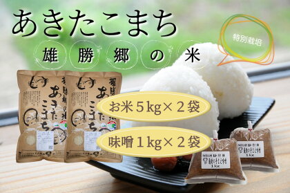 【令和5年産米】【無洗米】特別栽培米あきたこまち雄勝郷の米10kg味噌2kgセット[H6-2001]