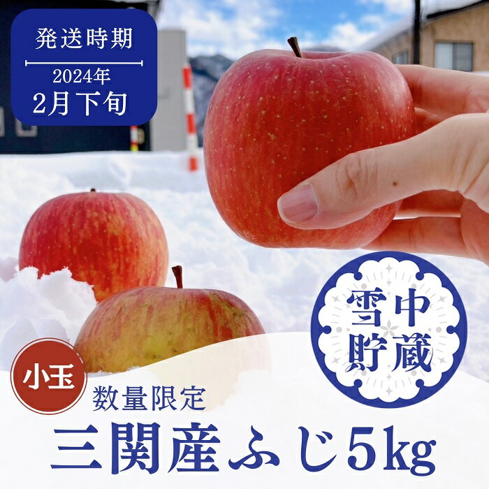 【ふるさと納税】【2024年2月下旬発送】＼希少価値が高い／ 雪中貯蔵 ふじ 三関 りんご 5kg 小玉 【 数量限定 】 ふるさと納税 りんご 降雪の多い 秋田県 雪の中で貯蔵した 濃厚 で 甘い ジューシー な ふじりんご 果物 フルーツ 三関産 [B3212]のサムネイル