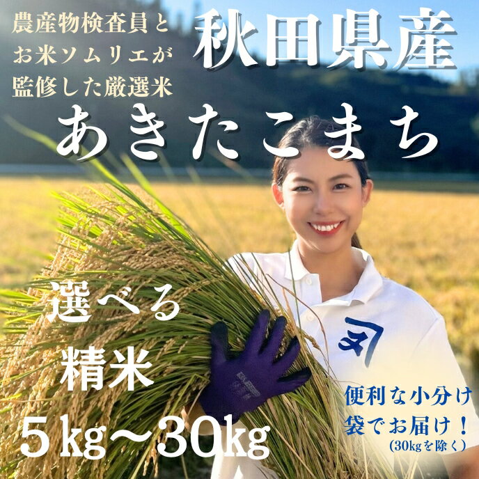 令和7年産 特Aランク厳選 秋田県産 あきたこまち 白米 選べる容量 5〜30kg 精米 お米[(株)鈴木又五郎商店][B6-2301]
