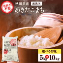 【ふるさと納税】\選べる発送月/ 令和7年産米 秋田県産 あきたこまち 無洗米 5kg 10kg 米 ご飯 ふるさと 人気 ランキング【こまち農業協同組合】[C...