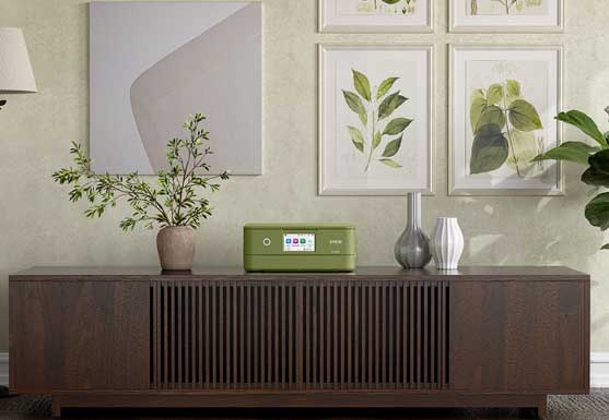 【ふるさと納税】EPSON Colorio インクジェットプリンター EP-887AP ピスタチオグリーン インクジェット複合機 インクジェット エプソン ふるさと納税 プリンター コピー機 印刷 人気 ランキング 【株式会社たなか】[F14113]