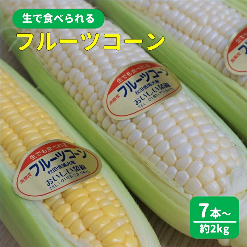 【ふるさと納税】夏限定・生で食べられる完熟とうもろこし[B3101]