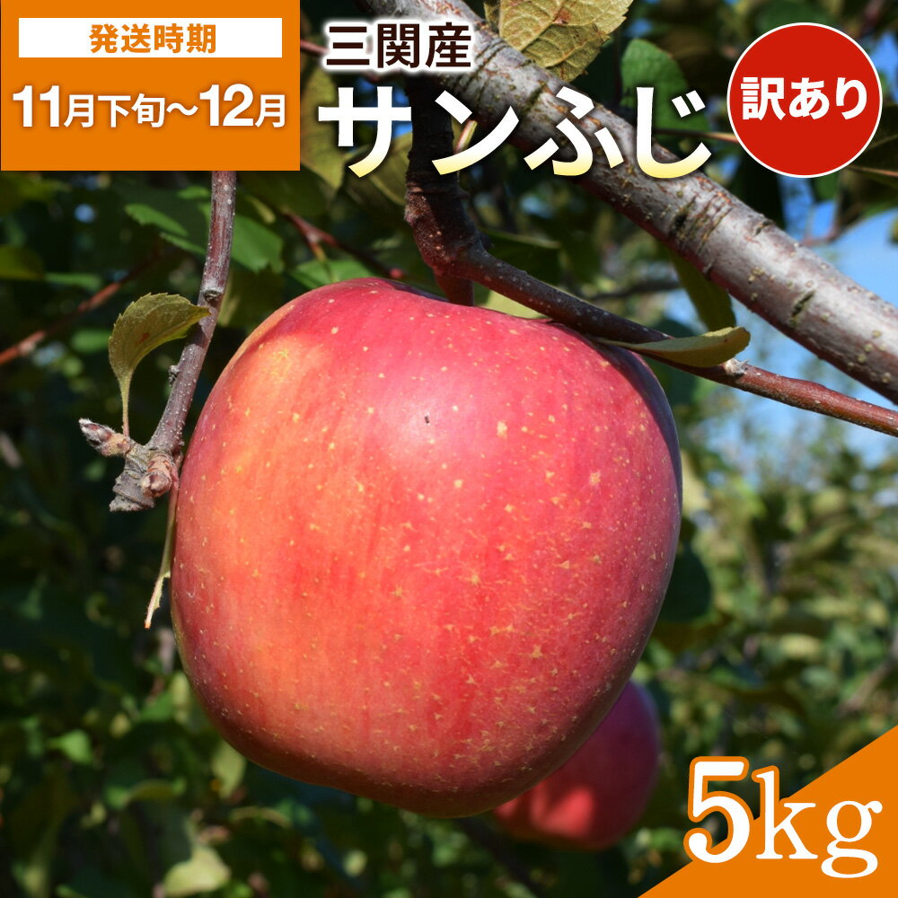 【ふるさと納税】三関産 りんご サンふじ 5kg 訳ありふじりんご ふるさと納税 旬 果物 フルーツ ジューシー 甘い 秋田県 湯沢市三関産【藤利果樹園】[B14604](4)
