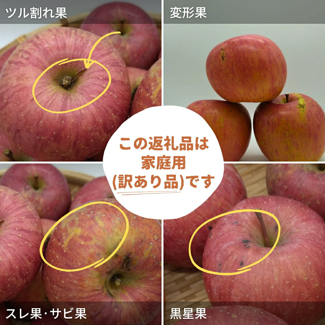 【ふるさと納税】三関産 りんご ふじ 家庭用 3kg 秋田県 湯沢市 地場産 果物 フルーツ 林檎【三関果樹研究会】[J15102]