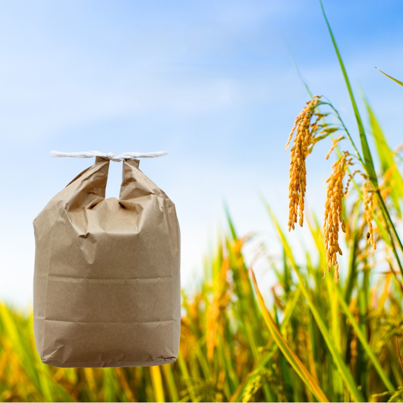 令和7年産 あきたこまち 白米 5kg 秋田県産 湯沢市産 新米 お米 白米 国産 ご飯[BARUバイオジャパン吉村][B7-9902]