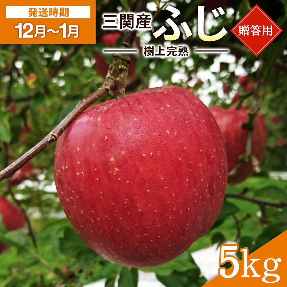 【ふるさと納税】＼樹上完熟で甘みが強い！／ 三関 りんご ふじ 5kg 贈答用 ふるさと納税 りんご 旬 ふじりんご 樹上 完熟 果物 フルーツ 秋田県 三関産 【三関果樹勉強会】[B5-3203]
