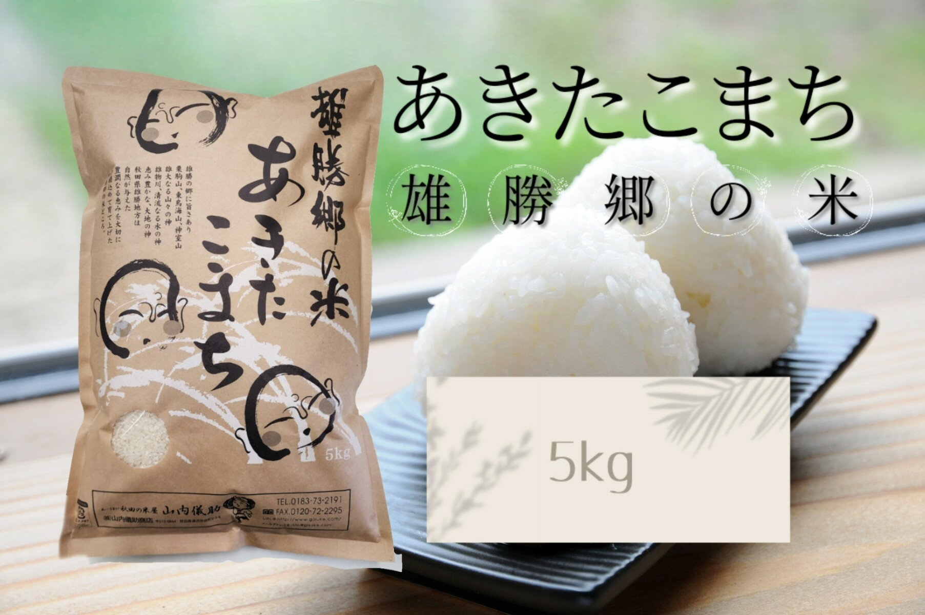 令和7年産 あきたこまち 雄勝郷の米 白米5kg ふるさと納税 秋田 米 あきたこまち お米[(株)山内儀助商店][B6-2001]