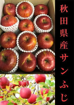 【ふるさと納税】A9904 サンふじ 8〜12個入り