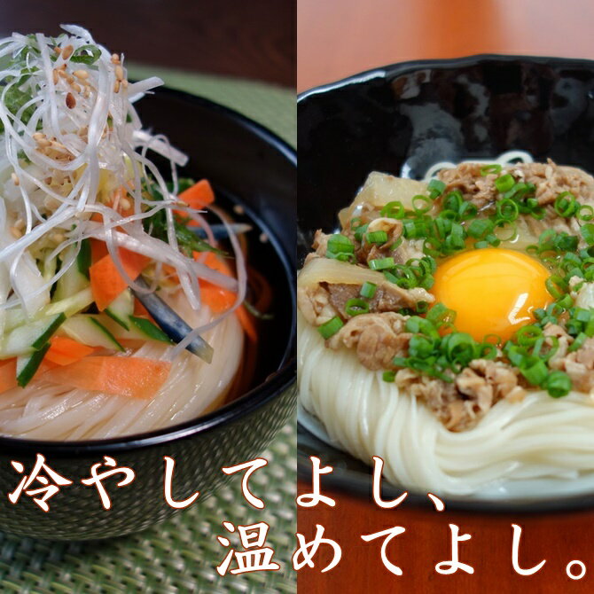 【ふるさと納税】稲庭うどん 業務用1kg×10袋 ふるさと納税 秋田県 稲庭うどん 業務用 セット[D0201]