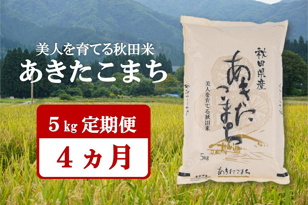 令和5年産米 美人を育てる秋田米「あきたこまち」5kg 4ヶ月定期便 ふるさと納税 秋田県 米 あきたこまち 定期便[D2-2401]