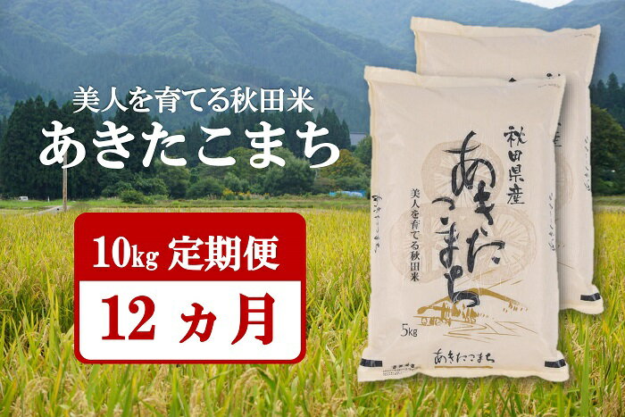 【ふるさと納税】令和5年産米 美人を育てる秋田米「あきたこまち」10kg 12ヶ月定期便 ふるさと納税 秋田県 米 あきたこまち 定期便[F2403]のサムネイル