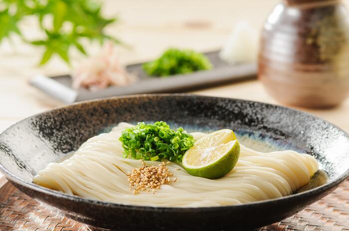 【ふるさと納税】小川の稲庭うどん　V-40[B1-0501]