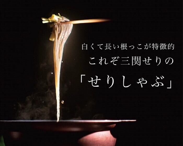 【ふるさと納税】＼TV青空レストランに登場／ 三関産 せり鍋 セット 3～4人前 (せり1kg 三関せり専用鍋つゆ) 生産者直送 セット ご自宅で絶品の せりしゃぶ が楽しめる せり鍋 ふるさと納税 せり 鍋 鶏 ふるさと 人気 ランキング [B46-10901]のサムネイル