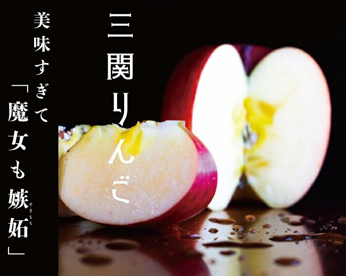 【ふるさと納税】三関産ふじりんご3kg満杯詰め 三関りんご ふじりんご 秋田県産 湯沢市産 果物 フルーツ 産地直送 甘い ジューシー 旬の味覚【奥山農園】[K...