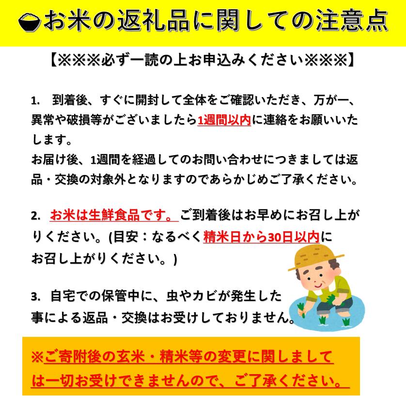 【ふるさと納税】＼美味しい状態でお届け／ 令和7年産 あきたこまち 今摺り 10kg 精米 白米 農家直送 ＼申込後にもみずり・精米 新鮮な状態でお届け／ ふるさと納税 あきたこまち ふるさと納税 米 令和7年 ふるさと 人気 ランキング【由利 稔幸】[H5-12301]