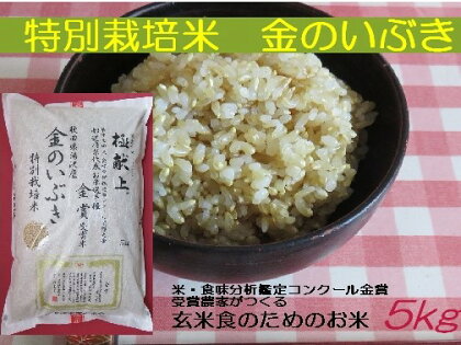【冷めても美味しい玄米】特別栽培米　金のいぶき5kg[B5-2101]