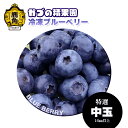 【ふるさと納税】 ブルーベリー 特選 中玉 1kg 2kg 7kg 定期便 冷凍 無農薬 新鮮 旬 国産 冷凍ブルーベリー ジュース…