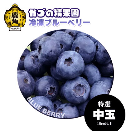 ブルーベリー 特選 中玉 1kg 2kg 7kg 定期便 冷凍 無農薬 新鮮 旬 国産 冷凍ブルーベリー ジュース スムージー レシピ 効能 栄養 ダイエット お取り寄せ 母の日 父の日 グルメ ギフト 故郷 秋田 あきた 鹿角市 鹿角 送料無料 【かづの精果園】