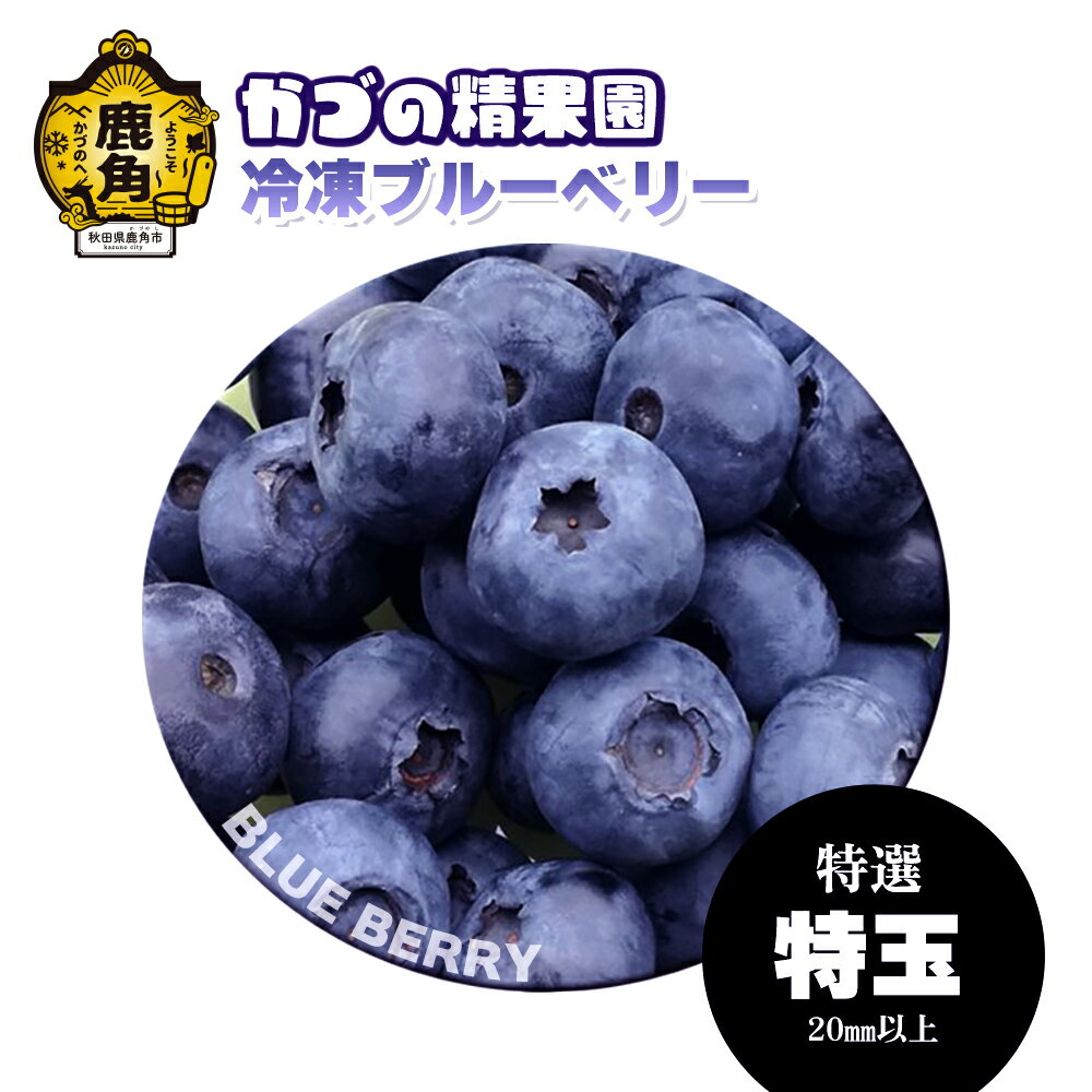 【ふるさと納税】 ブルーベリー 特選 特玉 1kg 2kg 7kg 冷凍 無農薬 新鮮 旬 国産 冷凍ブルーベリー ジュース スムージー レシピ 効能 栄養 ダイエット お取り寄せ 母の日 父の日 グルメ ギフ…