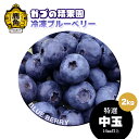 【ふるさと納税】《 先行予約 》ブルーベリー 特選 中玉 2kg 冷凍 単品 選べる 発送時期 選択 無農薬 新鮮 旬 国産 冷凍 ジュース スムージー レシピ...