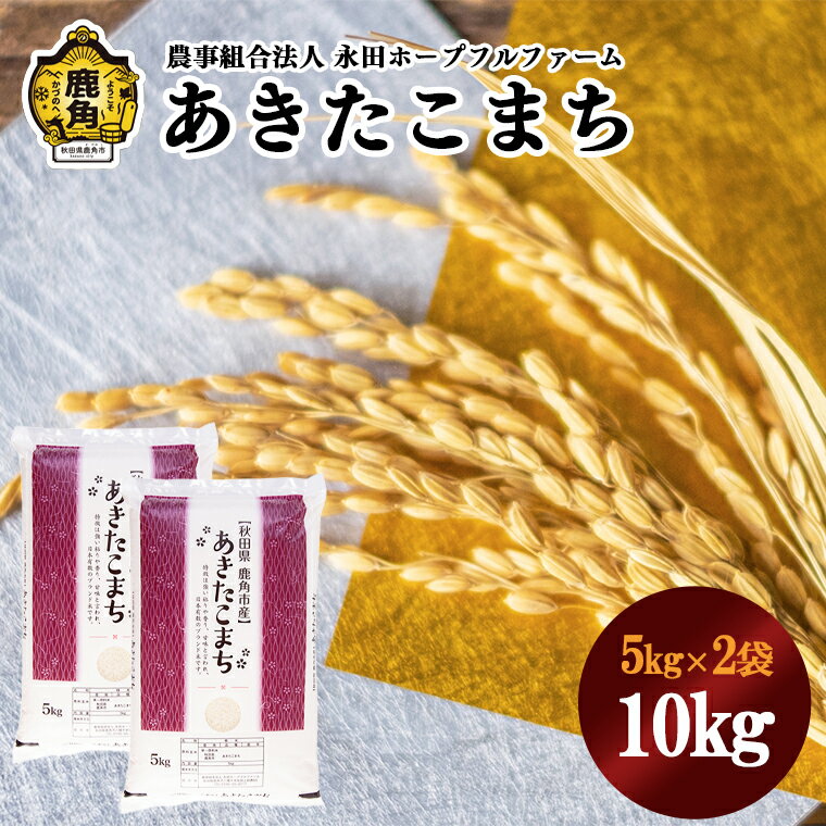 あきたこまち 【ふるさと納税】 令和5年産 鹿角八幡平水系で育った あきたこまち 5kg × 2袋 10kg 白米 農林水産大臣賞 米 お米 おこめ お中元 お歳暮 新生活 グルメ ギフト 故郷 秋田 あきた 鹿角市 鹿角 送料無料 【永田ホープフルファーム】