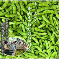 【ふるさと納税】【先行予約】鹿角市産特別栽培枝豆約5kg（250g×20袋）
