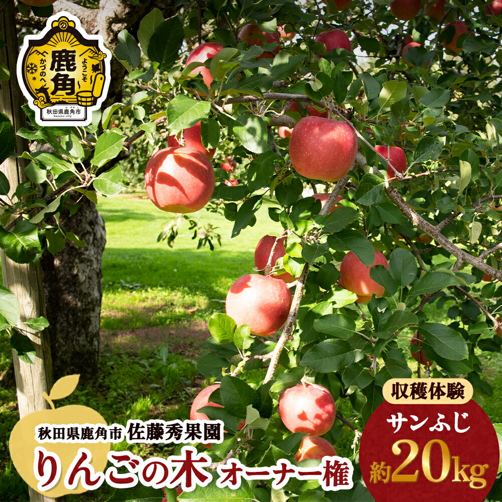【ふるさと納税】《 令和6年度 》秋田県 鹿角市 りんごの木 オーナー権 （ 収穫量 : 約 20kg ） 体験 ...
