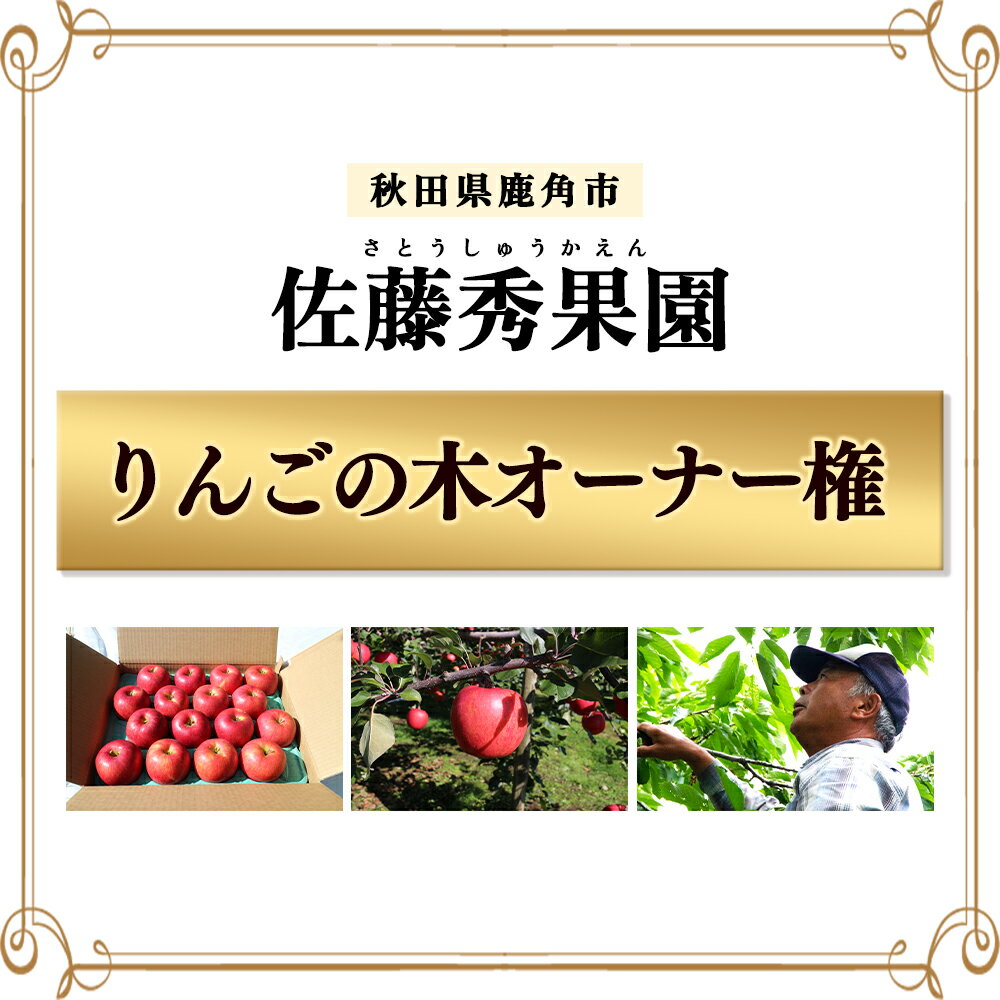 【ふるさと納税】《 令和6年度 》秋田県 鹿角市 りんごの木 オーナー権 （ 収穫量 : 約 20kg ） 体験 りんご狩り 農林水産大臣賞 ふじ リンゴ 完熟 蜜入り 旬 県産りんご お中元 お歳暮 贈り物 グルメ 秋田 あきた 鹿角 送料無料 【佐藤秀果園】