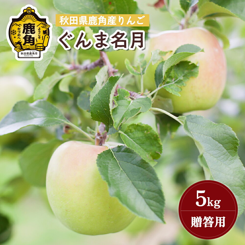 【ふるさと納税】《 先行予約 》 りんご 贈答用 ぐんま名月 5kg ( 20~23玉 ) 秋田県 鹿角産 りんご 食感 果汁 リンゴ 完熟 旬 県産 りんご 林檎 お中元 お歳暮 贈り物 グルメ ギフト 故郷 秋田 あきた 鹿角市 鹿角 蜜 送料無料 【山麓園】