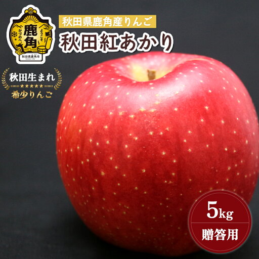 【ふるさと納税】《 先行予約 》 りんご 贈答用 秋田紅あかり 5kg ( 13~18玉入 ) 鹿角りんご 食感 果汁 リンゴ 完熟 旬 県産 りんご お中元 お歳暮 贈り物 グルメ ギフト 故郷 秋田 あきた 鹿角市 鹿角 送料無料 【山麓園】 【ふるさと納税】《 先行予約 》 りんご 贈答用 秋田紅あかり 5kg ( 13~18玉入 ) 鹿角りんご 食感 果汁 リンゴ 完熟 旬 県産 りんご お中元 お歳暮 贈り物 グルメ ギフト 故郷 秋田 あきた 鹿角市 鹿角 送料無料 【山麓園】