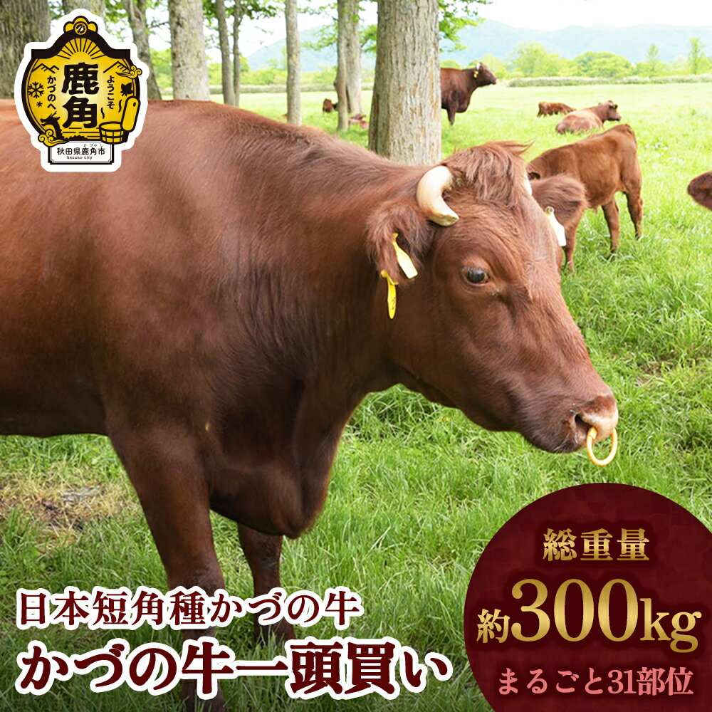 日本短角種 かづの牛 1頭買い 家庭用 お手軽 かんたん 牛肉 ヘルシー 低カロリー 県産牛 国産牛 お中元 お歳暮 お取り寄せ グルメ ギフト 故郷 秋田 あきた 鹿角市 鹿角 送料無料 [秋田県畜産農業協同組合]