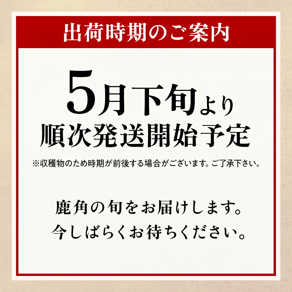 【ふるさと納税】《 先行予約 》根曲がり竹 1kg 秋田県鹿角産 当日出荷 旬 たけのこ タケノコ 天然 根曲がりだけ 山菜 鹿角産 国産 山菜 春の味覚 新鮮 お中元 お歳暮 お取り寄せ 贈り物 贈答用 グルメ ギフト 秋田県鹿角産 送料無料 【恋する鹿角カンパニー】