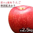 【ふるさと納税】 【 先行予約 】 鹿角 りんご 秋田紅あかり 約 2.5kg【 恋する鹿角カンパニー 】 かづのりんご 食感 果汁 さっぱり リンゴ 完熟 旬 りんご 林檎 訳あり お中元 お歳暮 贈り物 お見舞い グルメ ギフト 故郷 ふるさと 納税 秋田 あきた 鹿角 かづの 紅あかり