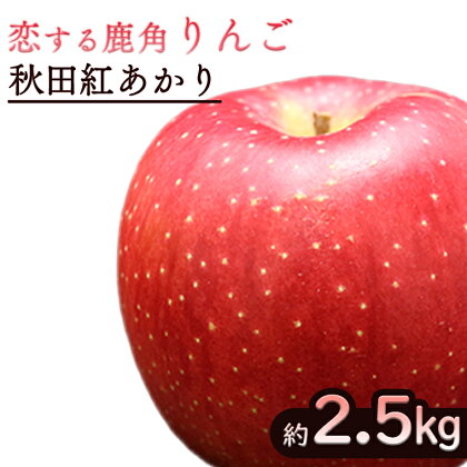 《 先行予約 》令和6年産 鹿角 りんご 秋田紅あかり 約 2.5kg かづのりんご 食感 果汁 さっぱり リンゴ 完熟 旬 りんご 林檎 お中元 お歳暮 贈り物 お見舞い グルメ ギフト 故郷 秋田 あきた 鹿角市 鹿角 紅あかり 送料無料 【恋する鹿角カンパニー】