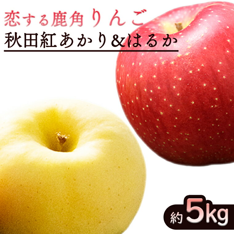 【ふるさと納税】《 先行予約 》令和6年産 鹿角 りんご 秋田紅あかり & はるか 各2.5kg（計5kg） かづのりんご 食感 果汁 さっぱり リンゴ 完熟 旬 お歳暮 贈り物 お見舞い グルメ ギフト 故郷 秋田 あきた 鹿角市 鹿角 送料無料 【恋する鹿角カンパニー】