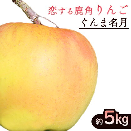 《 先行予約 》令和6年産 鹿角 りんご ぐんま名月 約 5kg かづのりんご 食感 果汁 さっぱり リンゴ 完熟 旬 県産りんご お中元 お歳暮 贈り物 お見舞い グルメ ギフト 故郷 秋田 あきた 鹿角市 鹿角 送料無料 【恋する鹿角カンパニー】