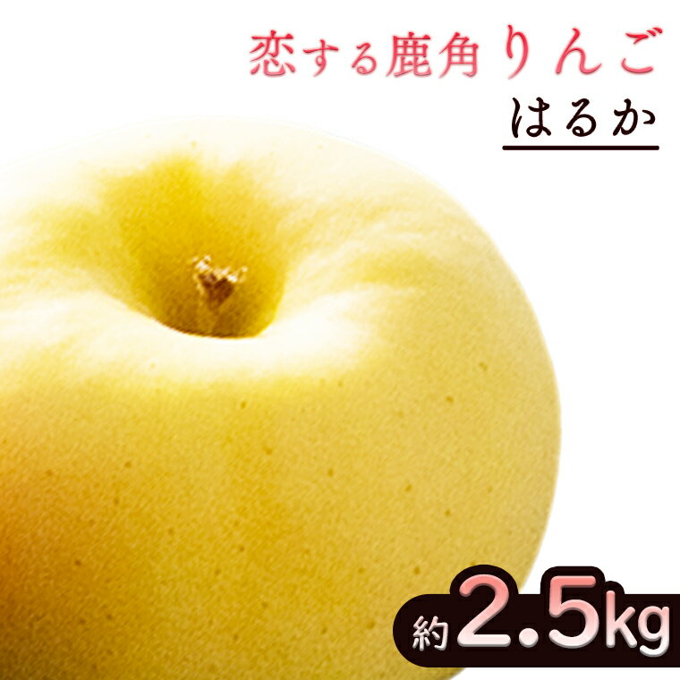 20位! 口コミ数「2件」評価「3」《 先行予約 》令和6年産 秋田県 鹿角産 りんご はるか 約 2.5kg かづのりんご 食感 果汁 さっぱり リンゴ 完熟 旬 県産りんご･･･ 