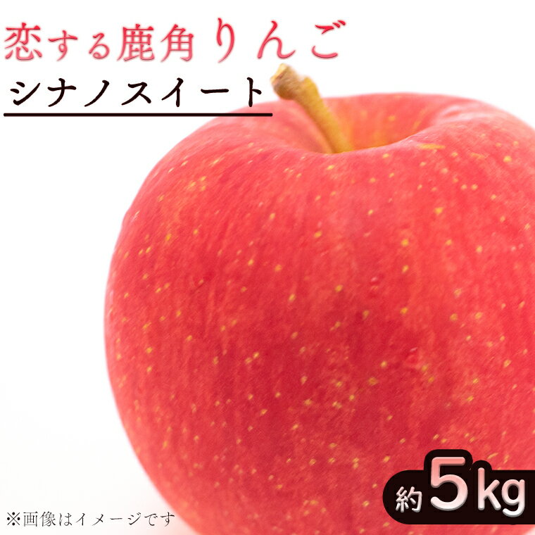 《 先行予約 》令和6年産 鹿角 りんご シナノスイート 約 5kg かづのりんご 食感 果汁 さっぱり リンゴ 完熟 旬 県産りんご お中元 お歳暮 贈り物 お見舞い グルメ ギフト 故郷 秋田 あきた 鹿角市 鹿角 送料無料 【恋する鹿角カンパニー】