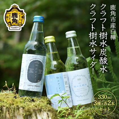 秋田県鹿角産白樺 クラフト樹水 炭酸水 ・ サイダー セット 330ml × 6本入（3種×各2本入り） 樹水 ミネラル 炭酸 さわやか 瓶 飲料 ソーダ 炭酸 ご当地割もの お取り寄せ ギフト お中元 お歳暮 ふるさと 返礼品 鹿角市 かづの 秋田 送料無料 【西村林業】