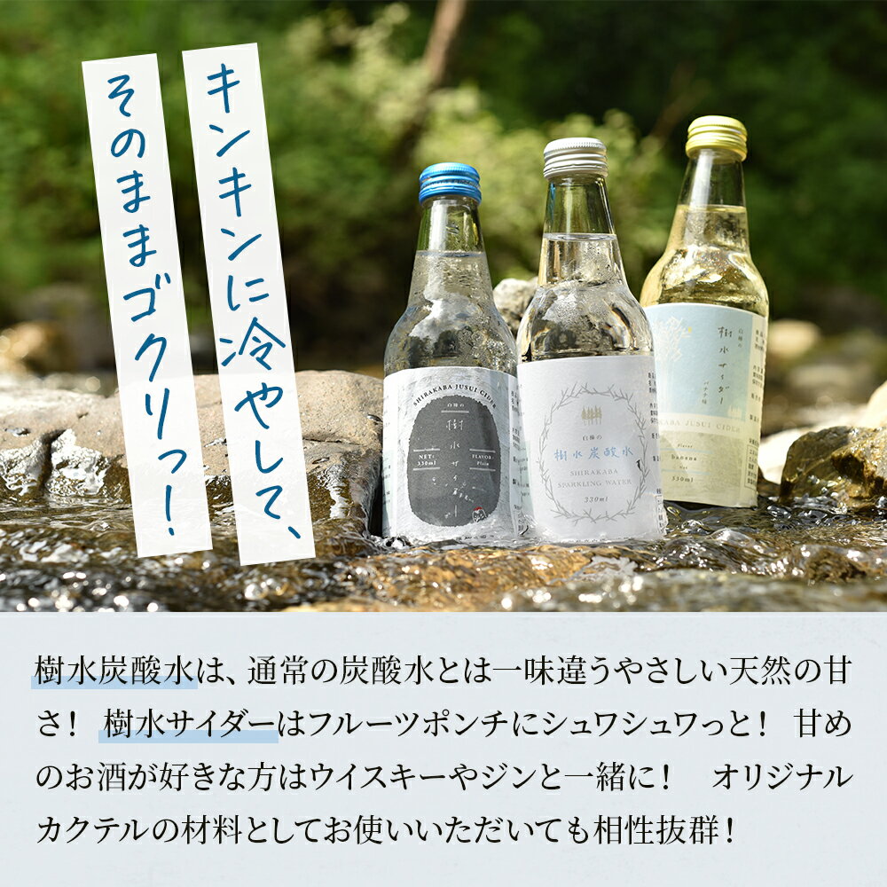 【ふるさと納税】秋田県鹿角産白樺 クラフト樹水 炭酸水 ・ サイダー セット 330ml × 6本入（3種×各2本入り） 樹水 ミネラル 炭酸 さわやか 瓶 飲料 ソーダ 炭酸 ご当地割もの お取り寄せ ギフト お中元 お歳暮 ふるさと 返礼品 鹿角市 かづの 秋田 送料無料 【西村林業】