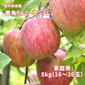 【ふるさと納税】りんご サンふじ 家庭用5kg 【田村果樹園】