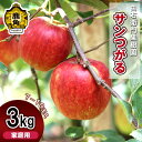 【ふるさと納税】 由右衛門果樹園 りんご 家庭用 サンつがる 約3kg (7~10玉) 秋田県産 鹿角りんご 国産 東北 果汁 旬 県産りんご お歳暮 贈答品 ふるさと 贈り物 お見舞い グルメ ギフト 故郷 秋田 あきた 鹿角市 鹿角 送料無料 【由右衛門果樹園】●2025年9月中旬発送開始