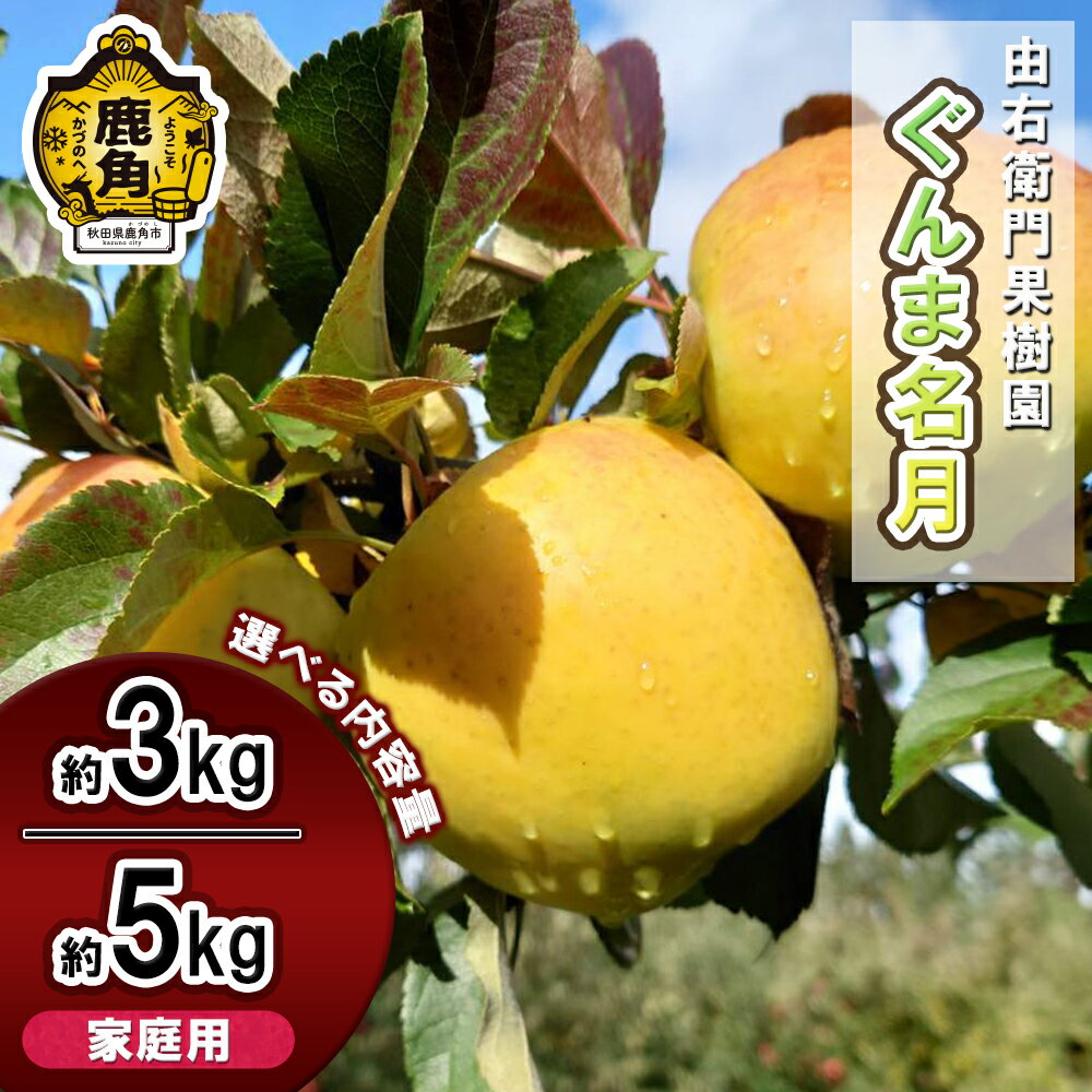 【ふるさと納税】 由右衛門果樹園 りんご 家庭用 「 ぐんま名月 」 約3kg / 約5kg りんご 林檎 リンゴ ぐんま名月 ぐんま 名月 産地直送 農家直送...