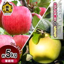 【ふるさと納税】 《 先行予約 》 由右衛門果樹園 りんご 家庭用 「 あいかの香り & こうこう 」 約5kg(10〜20玉) 詰め合わせ セット 果汁 完熟...