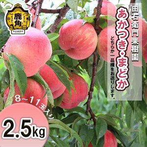 【ふるさと納税】 桃 《 先行予約 》 かづの北限の桃 「 あかつき / まどか 」 約 2.5kg ( 8~11玉入り ) 秋田県産 お盆 お見舞い 完熟 国産桃 先行予約 お歳暮 贈り物 贈答用 グルメ ギフト 故郷 秋田 あきた 鹿角市 鹿角 東北 北限 旬 送料無料 【由右衛門果樹園】