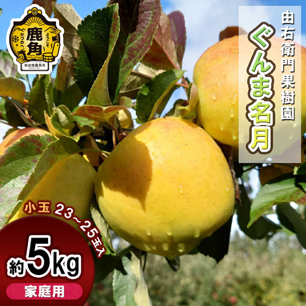 由右衛門果樹園 りんご 家庭用 「 ぐんま名月 」小玉 約5kg ( 23〜25玉 ) りんご リンゴ 訳あり 完熟 旬 県産りんご お中元 お歳暮 グルメ ギフト 故郷 秋田 あきた 鹿角市 鹿角 送料無料 [由右衛門果樹園]
