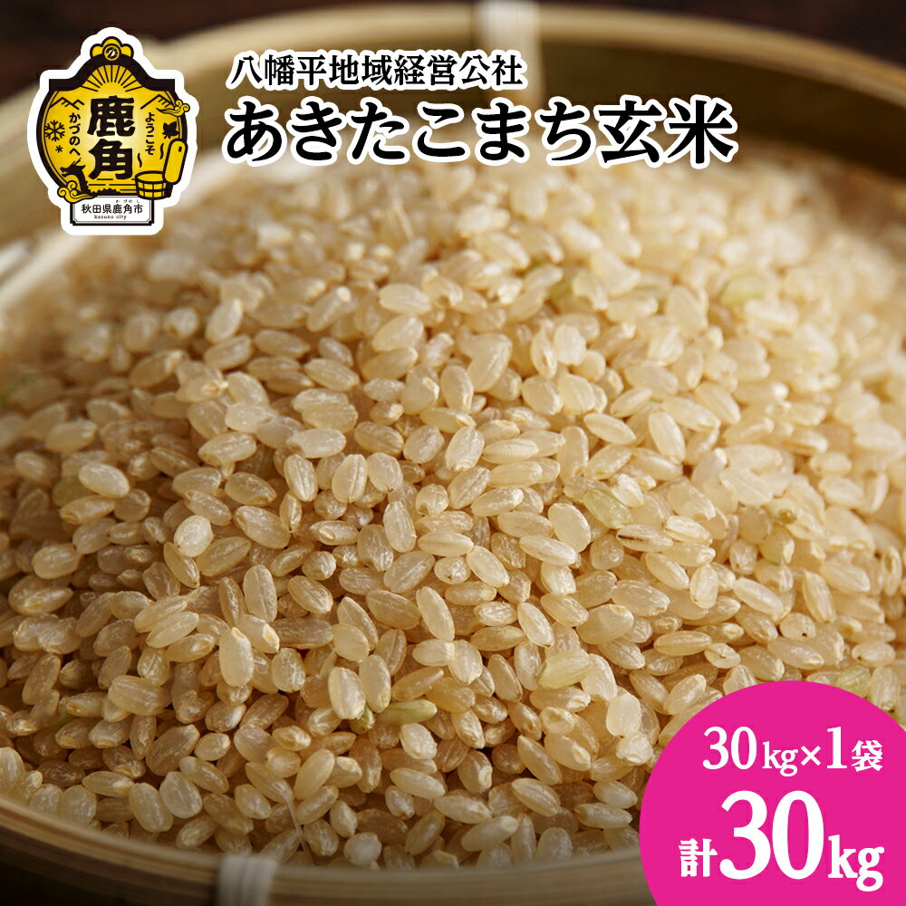 【ふるさと納税】《 玄米 》 令和5年産 あきたこまち 30kg ( 1袋 ) 品質 安全 米 お米 こめ コメ 県産米 国産米 30KG 30キロ 30k 30K 30K 30k 30キロ 30 秋田県 あきた 鹿角市 鹿角 送料無料 【八幡平地域経営公社】