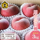 【ふるさと納税】《 先行予約 》 桃 川中島白桃 3kg ( 9〜10玉入 ) もも モモ 白桃 川中 完熟 旬 お見舞い 内祝い おすそ分け 完熟 国産桃 お...