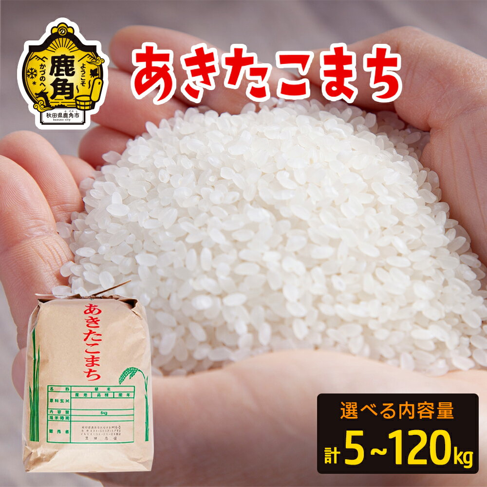 【ふるさと納税】 あきたこまち 5kg～120kg 選べる 単品 定期 5kg 15kg 30kg 60kg 120kg 3回 6回 12回 白米 精米 小分け パッケージ 米 お米 こめ コメ 県産米 国産米 ギフト お中元 お歳暮 ふるさと 返礼品 秋田 あきた 鹿角市 鹿角 送料無料 【豊田農園】