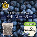 【ふるさと納税】 鹿角産 冷凍 ブルーベリー 1袋 500g入り ( サイズMIX ) 選べる 内容量 500g~2kg 旬 県産 国産ブルーベリー 真空 真空パック 小分け お取り寄せ 母の日 父の日 グルメ ギフト 故郷 秋田 あきた 鹿角市 鹿角 送料無料【とざわさん家のいちご】